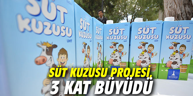 Süt Kuzusu Projesi, 3 kat büyüdü