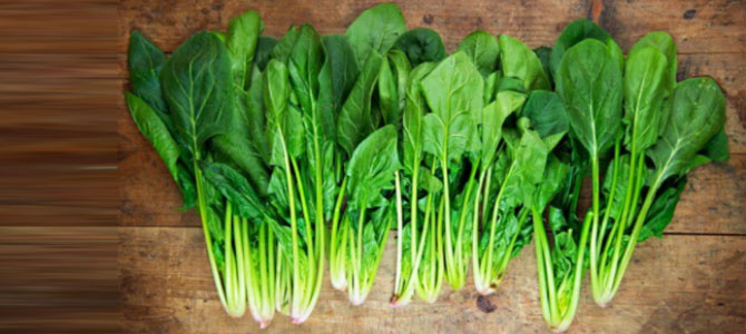 İzmir'de zam şampiyonu ıspanak