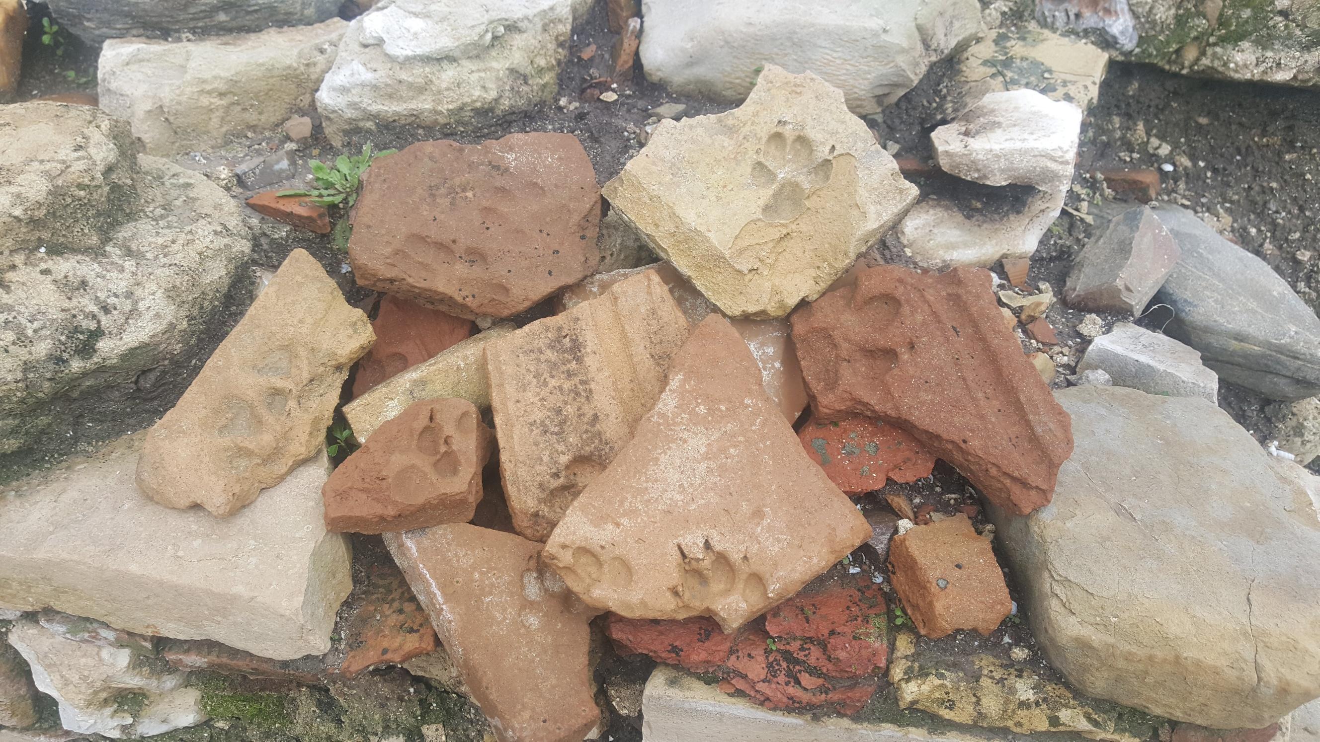 Orta Çağ’dan “Pati İzleri” taşıyan tuğla ve kiremit parçaları bulundu