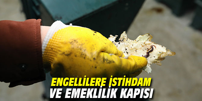 Engellilere istihdam ve emeklilik kapısı