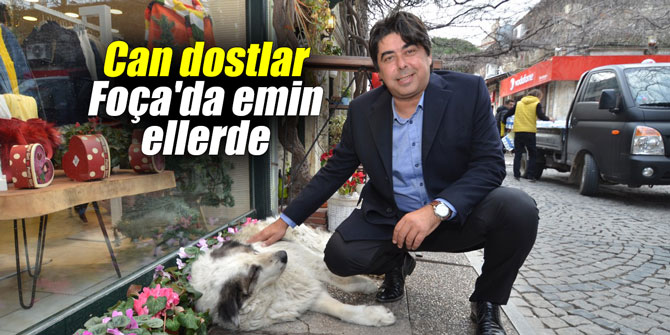 Can dostlar Foça'da emin ellerde