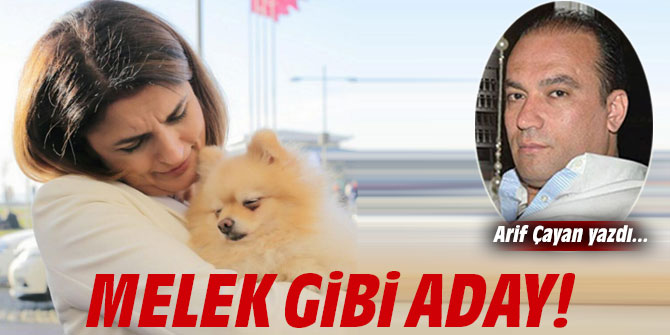 Melek gibi Aday!