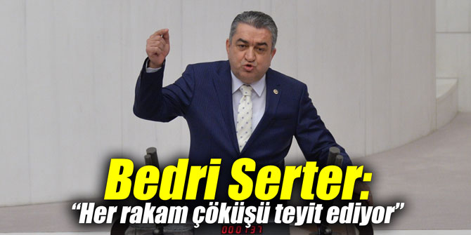Bedri Serter: “Her rakam çöküşü teyit ediyor”