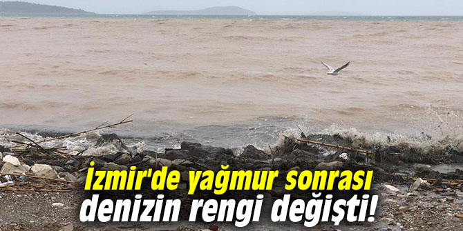 İzmir'de yağmur sonrası denizin rengi değişti!