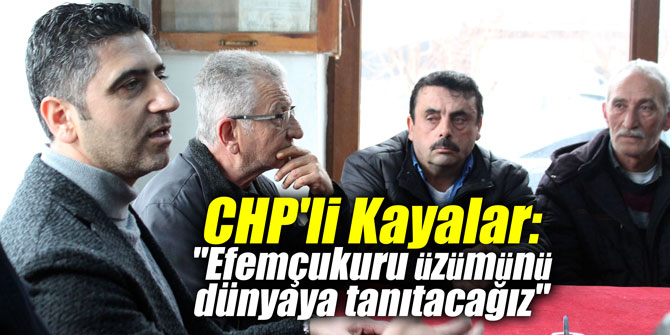CHP'li Kayalar: "Efemçukuru üzümünü dünyaya tanıtacağız"