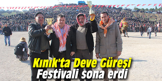 Kınık'ta Deve Güreşi Festivali sona erdi