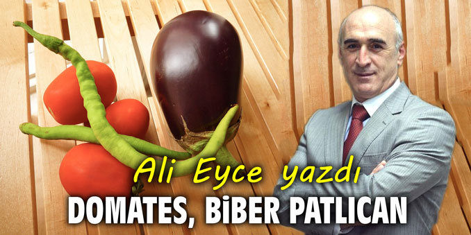 Domates, biber, patlıcan!