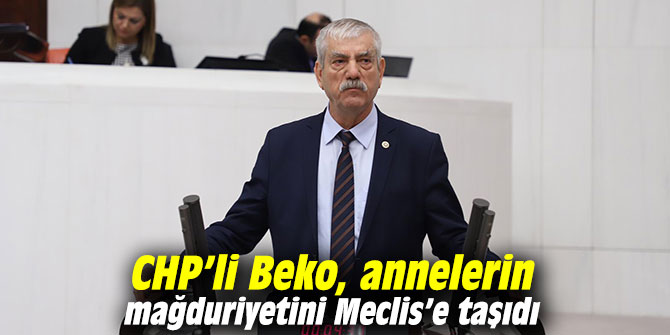 CHP’li Beko, annelerin mağduriyetini Meclis gündemine getirdi