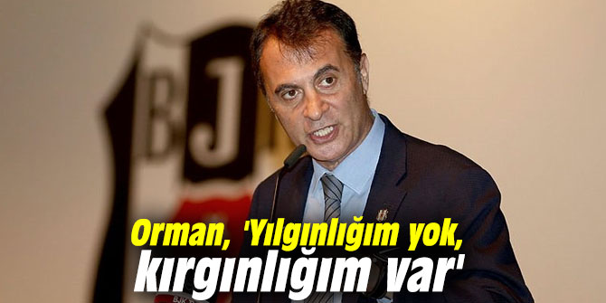 Orman, 'Yılgınlığım yok, kırgınlığım var'