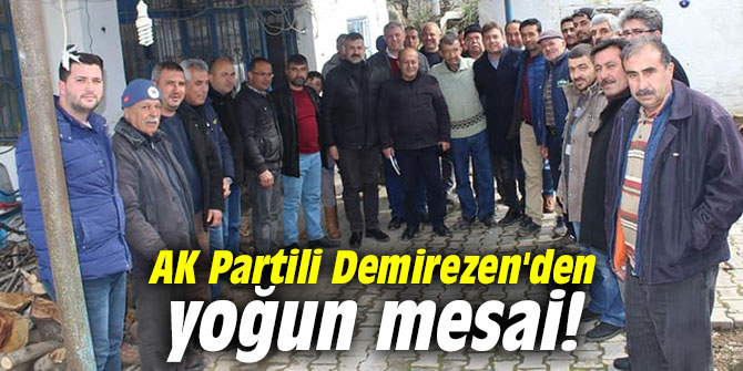 AK Partili Demirezen'den yoğun mesai!