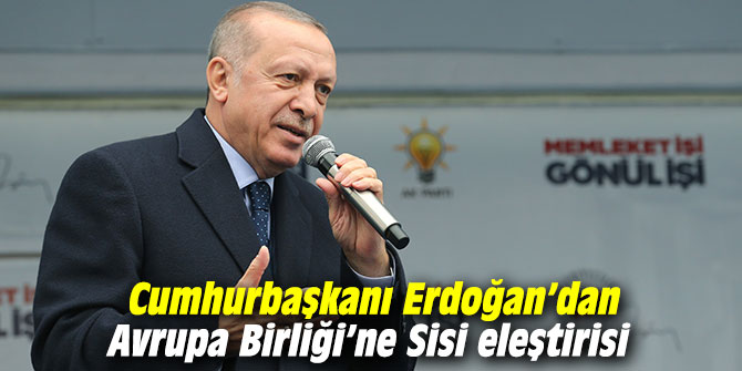 Cumhurbaşkanı Erdoğan’dan Avrupa Birliği’ne Sisi eleştirisi