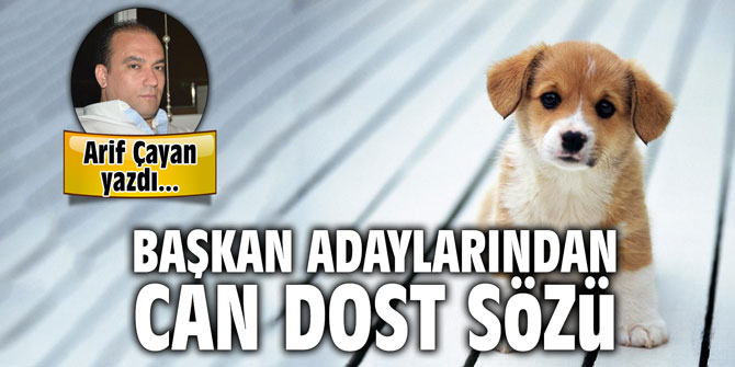 Başkan adaylarından can dost sözü