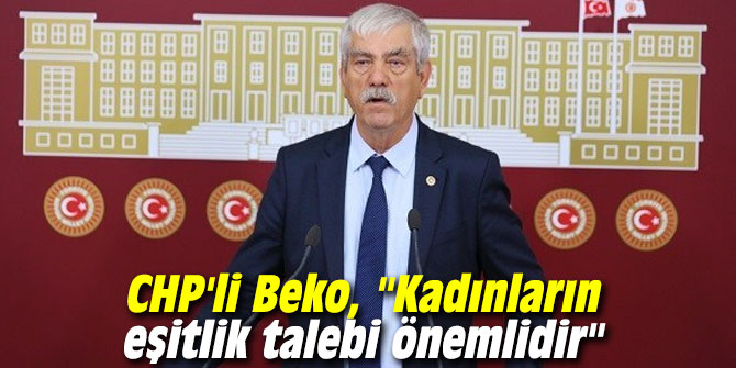 CHP'li Beko, "Kadınların eşitlik talebi önemlidir"