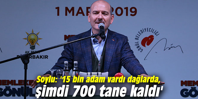Bakan Soylu: '15 bin adam vardı dağlarda, şimdi 700 tane kaldı'
