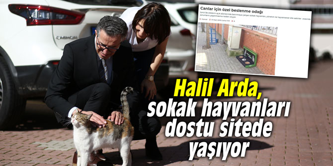 Halil Arda, sokak hayvanları dostu sitede yaşıyor