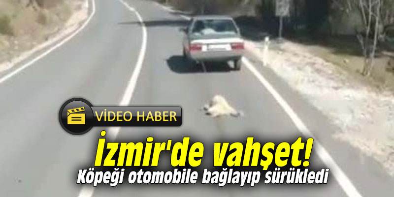 İzmir'de vahşet! Köpeği otomobile bağlayıp sürükledi