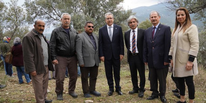 Kamu kurumlarından zeytin üreticilerine yönelik örnek işbirliği