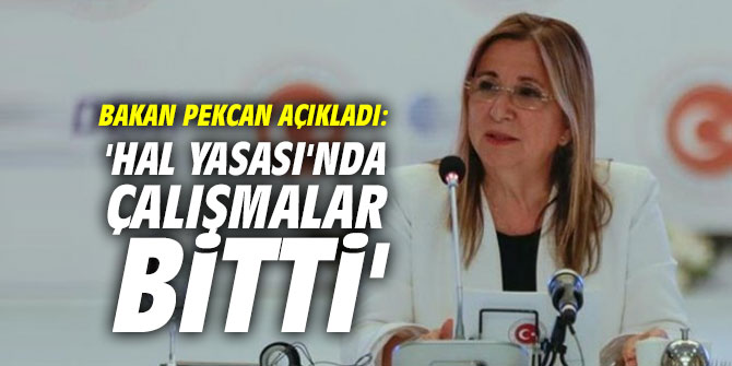 Bakan Pekcan açıkladı: 'Hal Yasası'nda çalışmalar bitti'