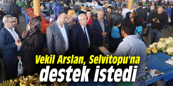 Vekil Arslan, Selvitopu'na destek istedi