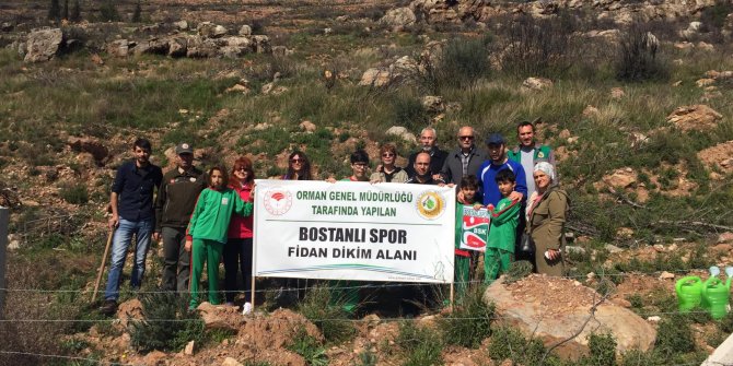 Bostanlıspor yanan alanı ağaçlandırıyor