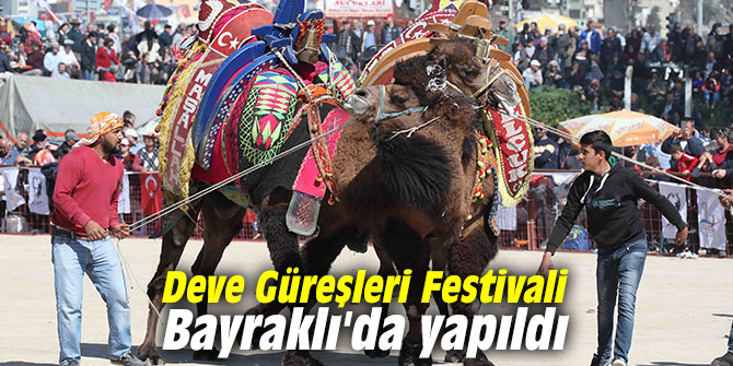 Deve Güreşleri Festivali Bayraklı'da yapıldı