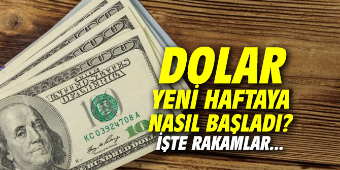 Dolar/TL yeni haftaya nasıl başladı? İşte rakamlar...