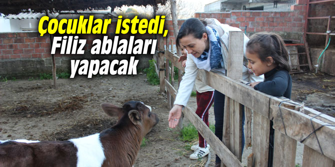 Çocuklar istedi, Filiz ablaları yapacak