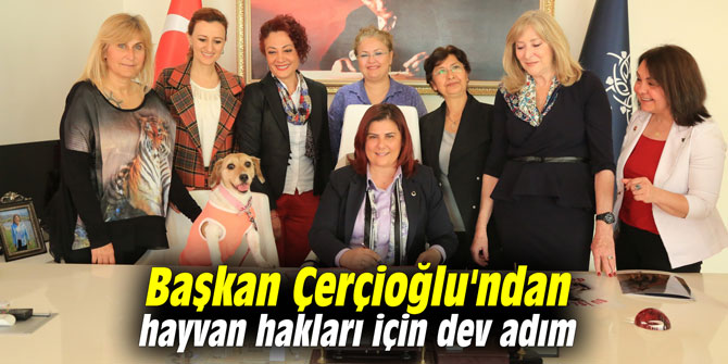 Başkan Çerçioğlu'ndan hayvan hakları için dev adım