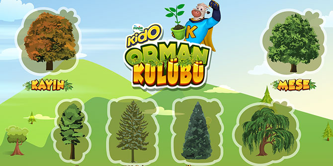 Pınar’dan Arkidolar Ormanı