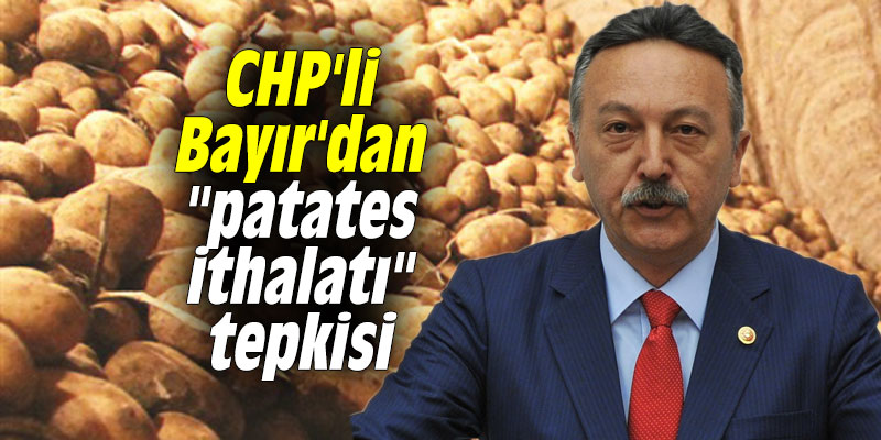 CHP'li Bayır'dan "patates ithalatı" tepkisi