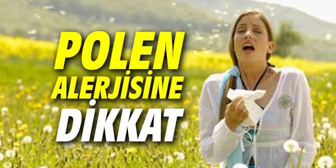 Polen alerjisine dikkat