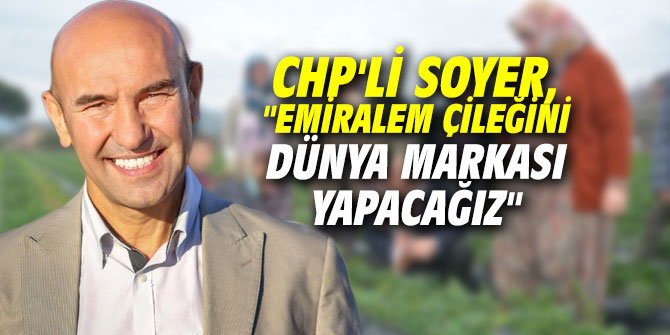 CHP'li Soyer, "Emiralem çileğini dünya markası yapacağız"