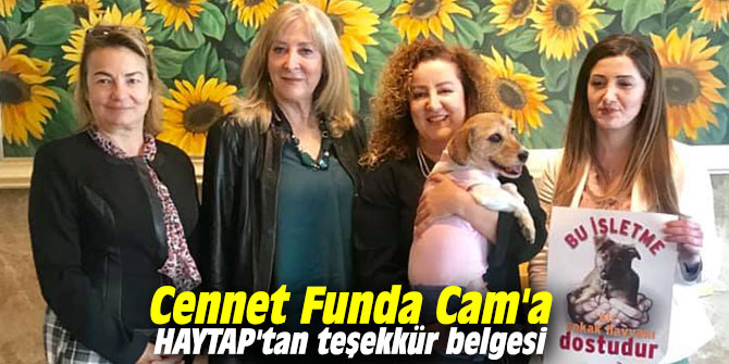 Cennet Funda Cam'a HAYTAP'tan teşekkür belgesi