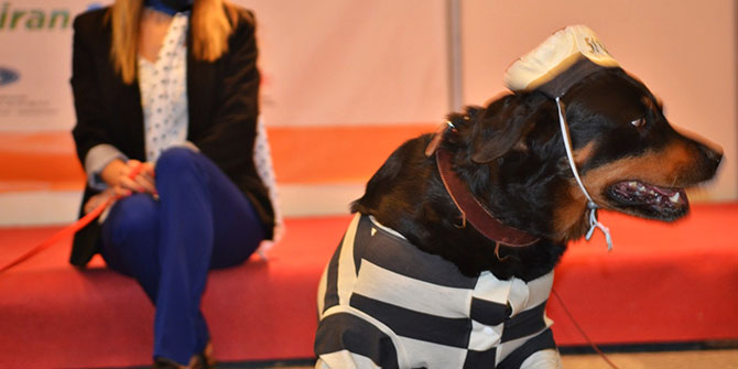 Can dostlar PET İzmir için gün sayıyor