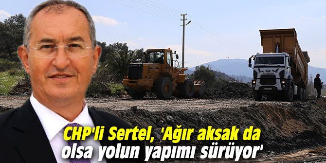 CHP'li Sertel, 'Ağır aksak da olsa yolun yapımı sürüyor'