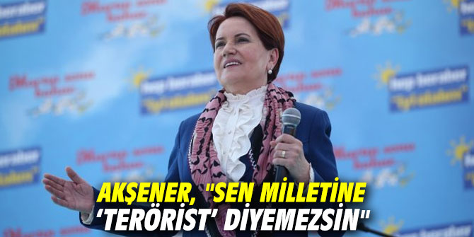 Akşener, "Sen milletine ‘terörist’ diyemezsin"