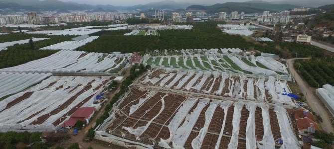 Hortumdan zarar görenler çiftçilere müjde! Ödemeler başlıyor...