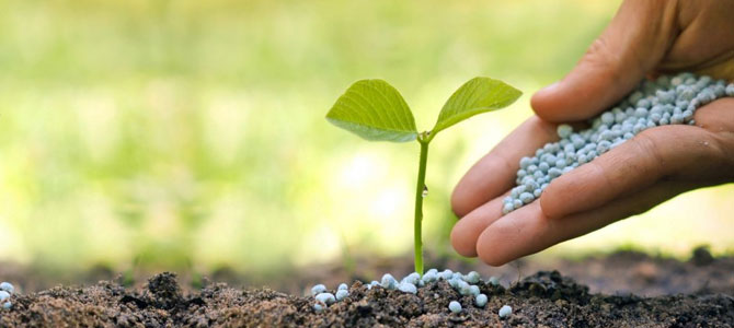 Rekabet Kurumu’ndan gübre firmalarına soruşturma!