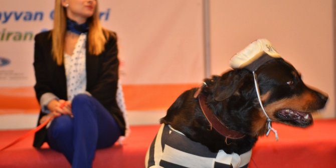 Can dost zirvesi başlıyor