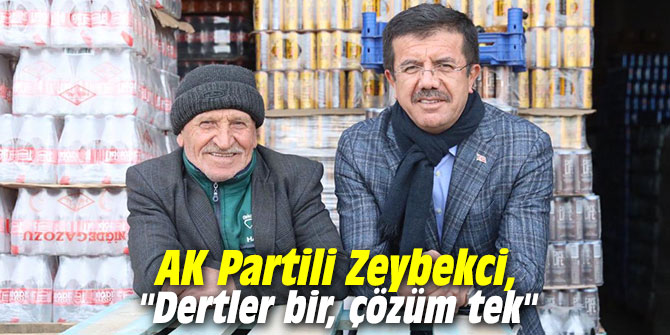AK Partili Zeybekci, "Dertler bir, çözüm tek"