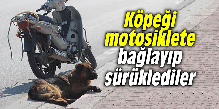 Köpeği motosiklete bağlayıp sürüklediler
