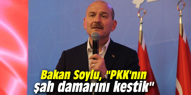 Bakan Soylu, "PKK'nın şah damarını kestik"