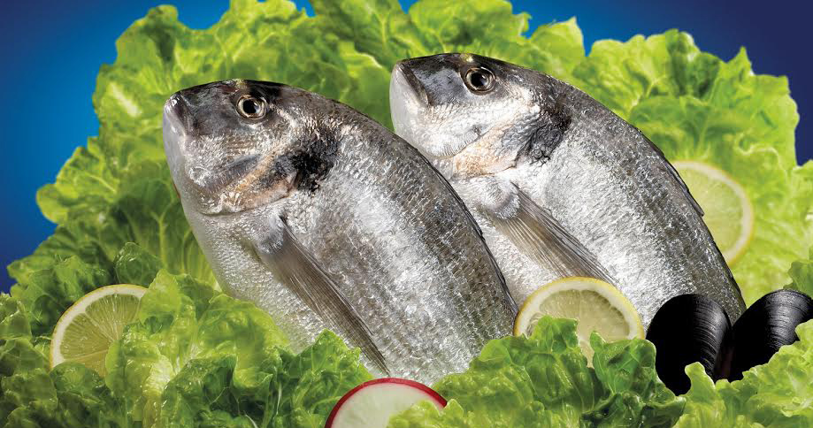 Ege’nin Prensi Çipura dünya sofralarında