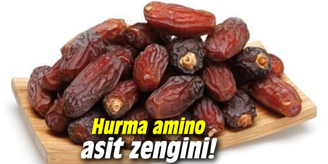 Hurma amino asit zengini!