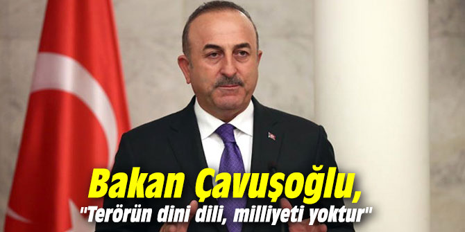 Bakan Çavuşoğlu, "Terörün dini dili, milliyeti yoktur"