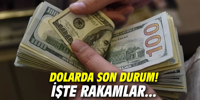 Dolarda son durum! İşte rakamlar...