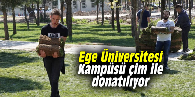 Ege Üniversitesi Kampüsü çim ile donatılıyor