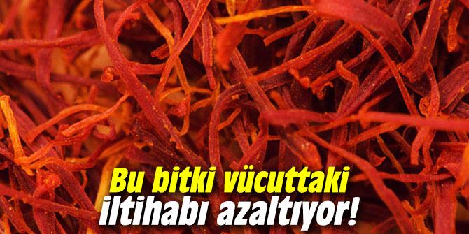 Bu bitki vücuttaki iltihabı azaltıyor!