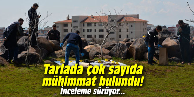 Tarlada çok sayıda mühimmat bulundu! İnceleme sürüyor...