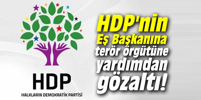 HDP'nin Eş Başkanına terör örgütüne yardımdan gözaltı!